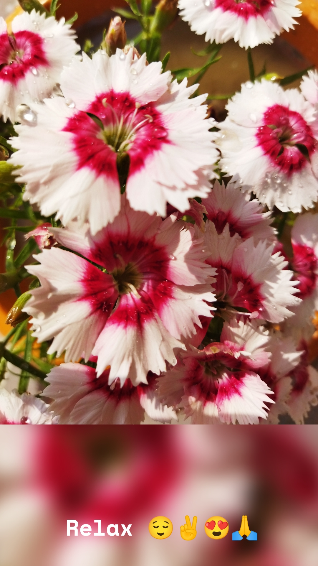 Relax 😌✌️😍🙏