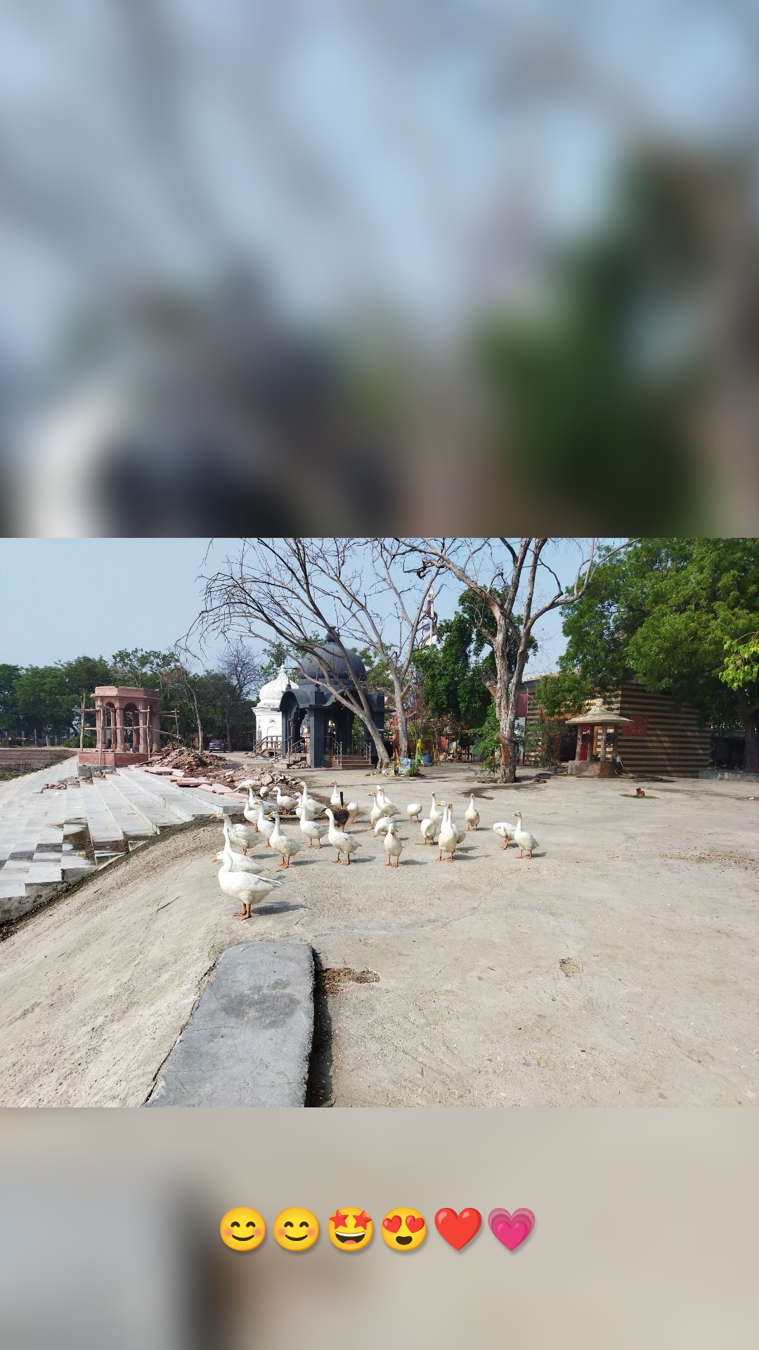 😊😊🤩😍❤️💗