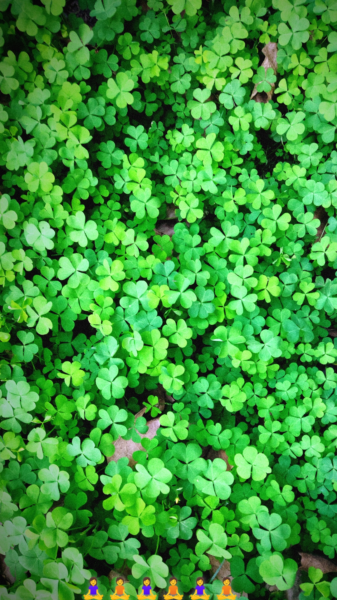 🧘‍♀️🧘🧘‍♀️🧘🧘‍♀️🧘